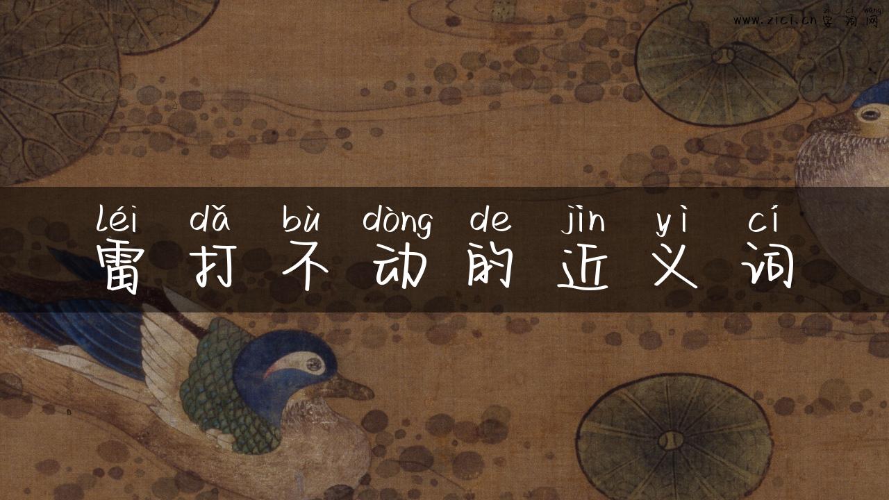 雷打不动的近义词