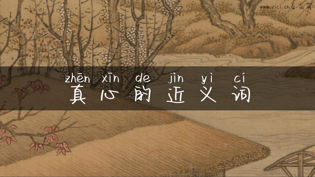 真心的近义词