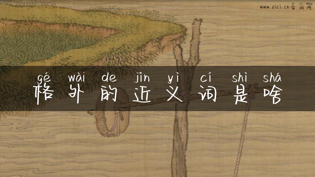 格外的近义词是啥