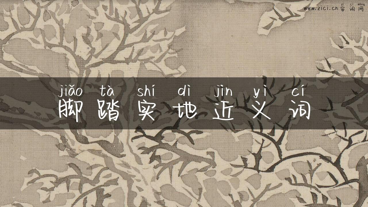 脚踏实地近义词