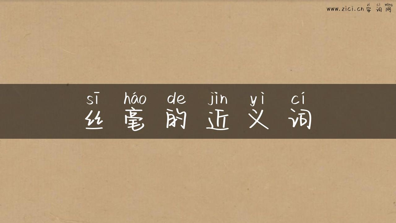 丝毫的近义词