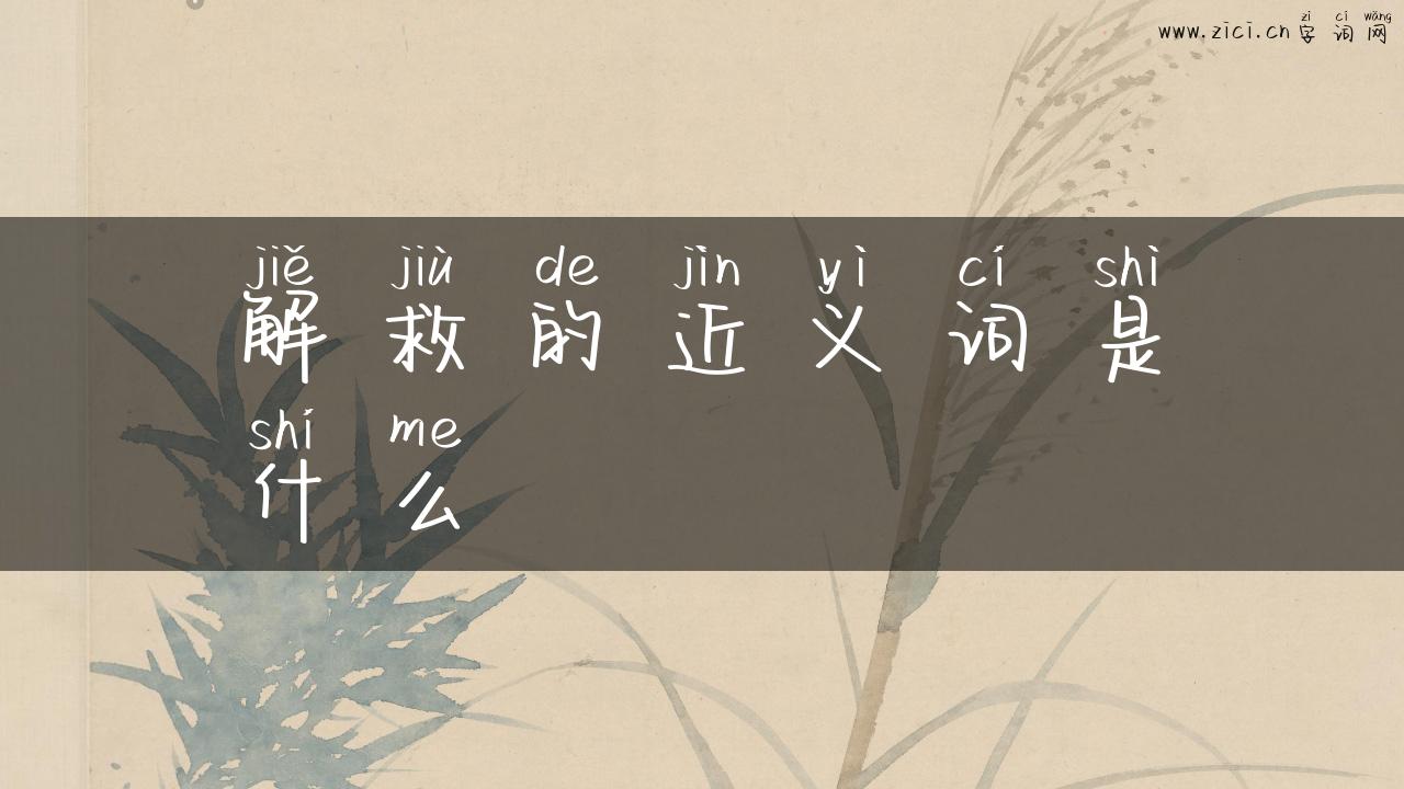解救的近义词是什么
