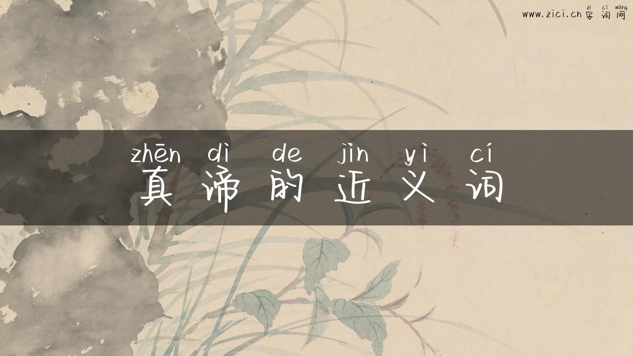 真谛的近义词