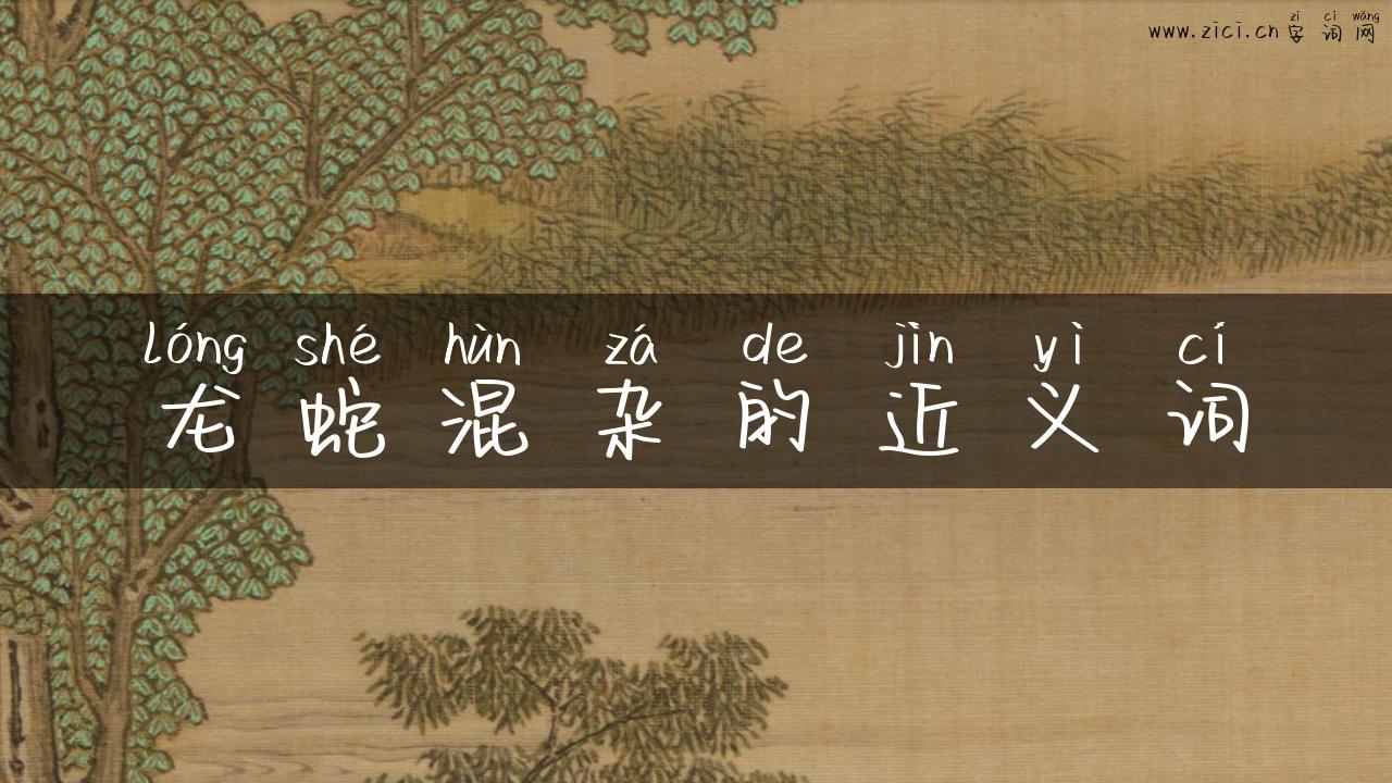 龙蛇混杂的近义词