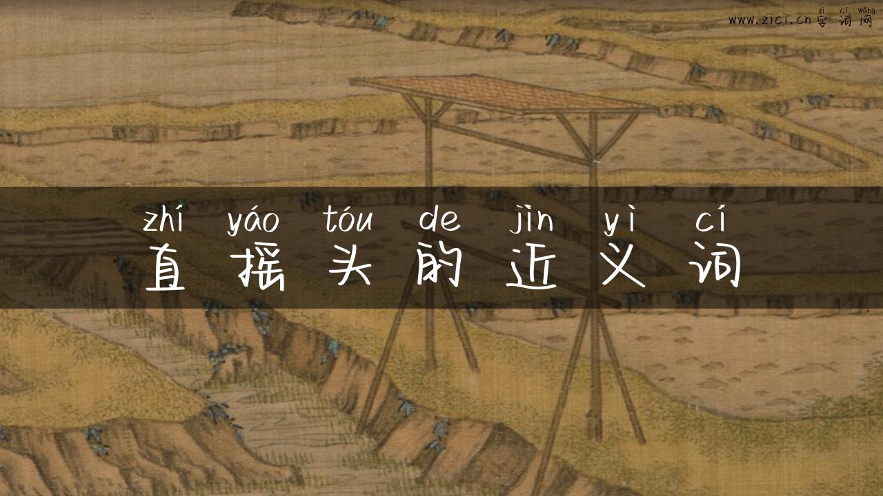 直摇头的近义词