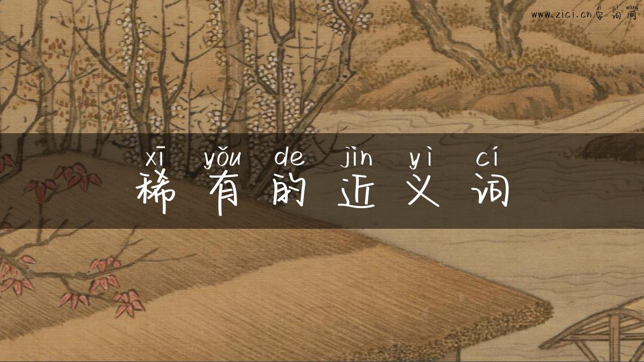 稀有的近义词