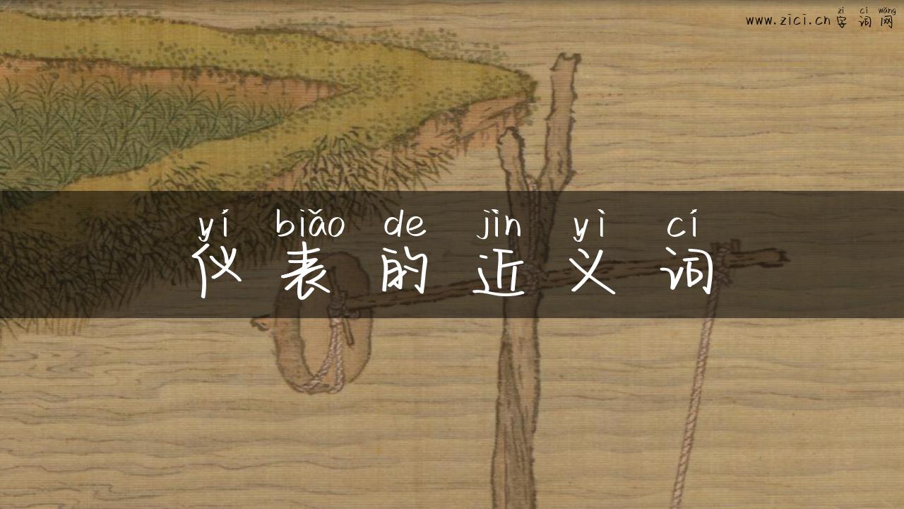 仪表的近义词