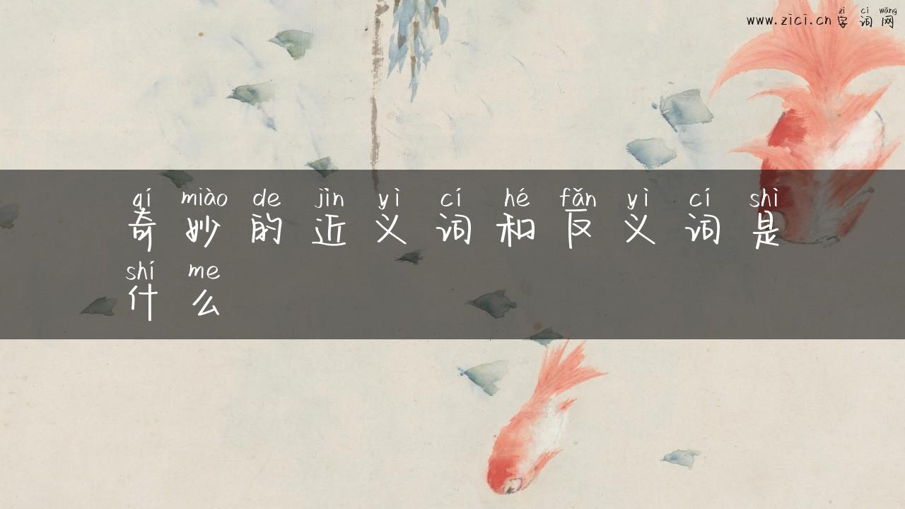 奇妙的近义词和反义词是什么