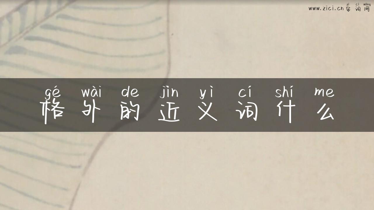 格外的近义词什么