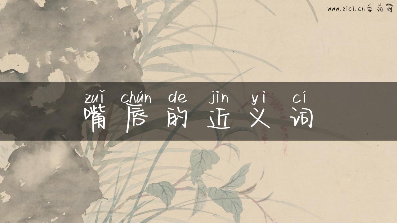 嘴唇的近义词