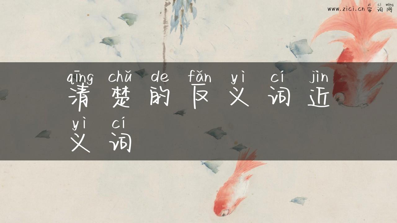 清楚的反义词近义词
