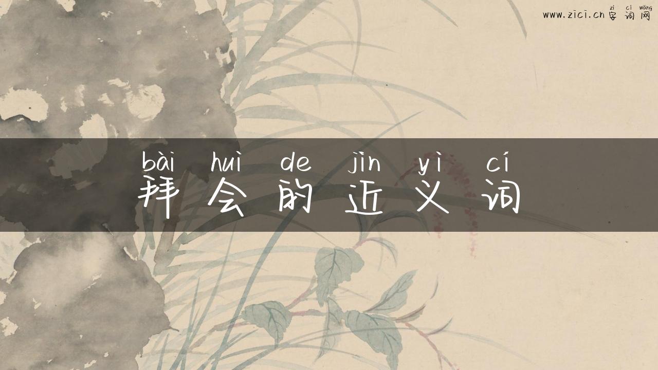 拜会的近义词