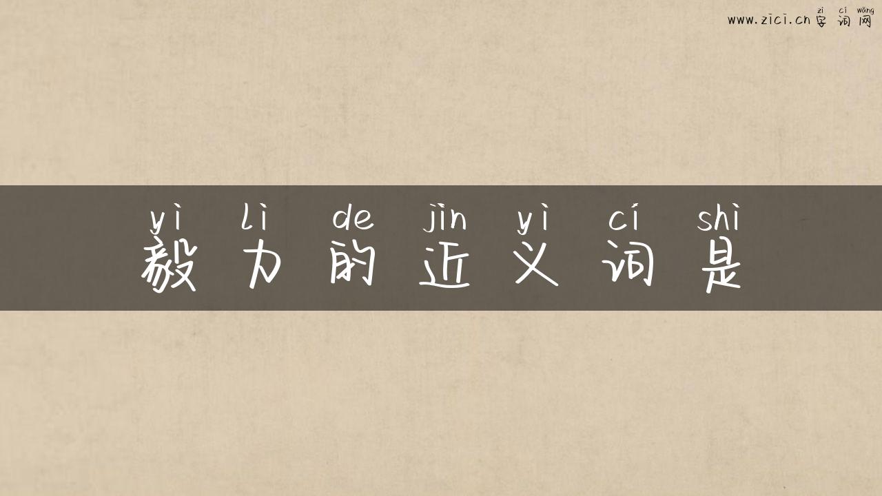 毅力的近义词是