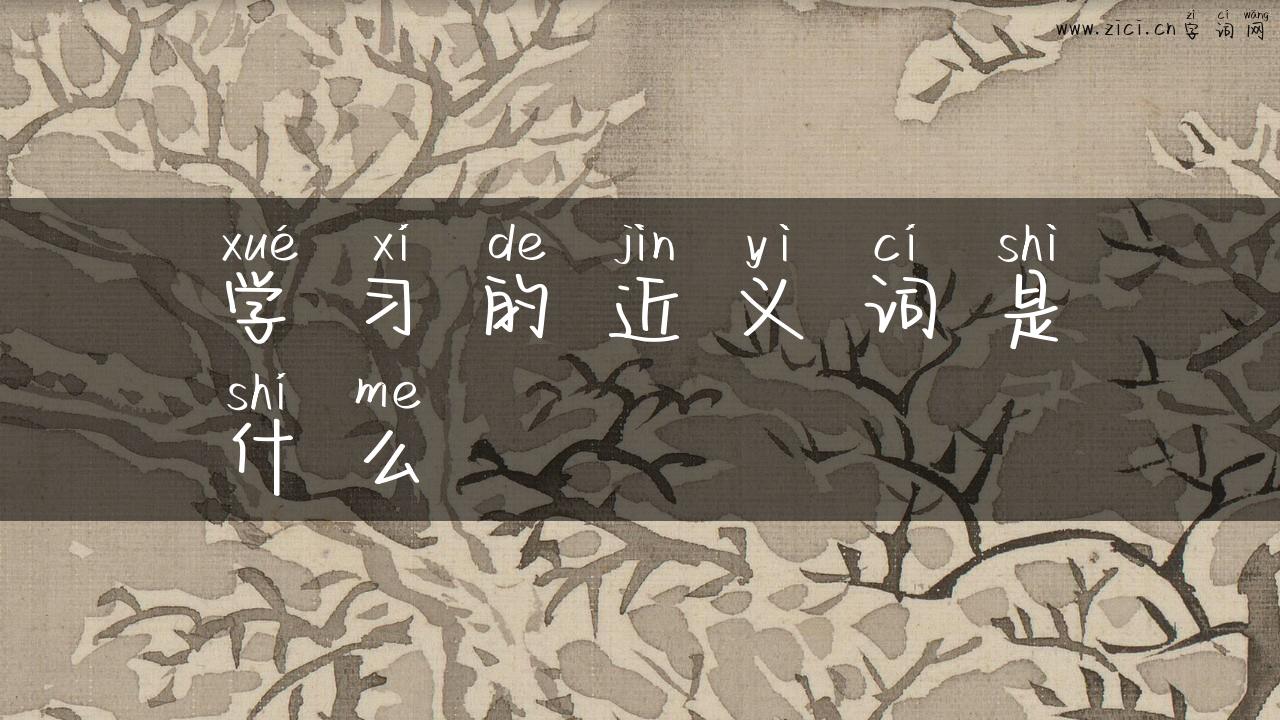 学习的近义词是什么