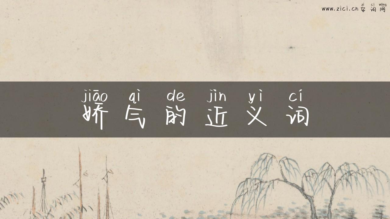 娇气的近义词
