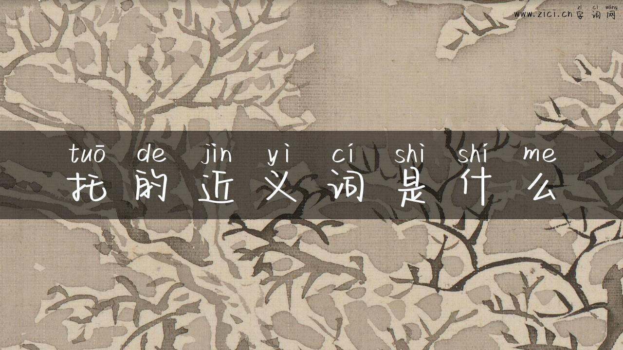 托的近义词是什么