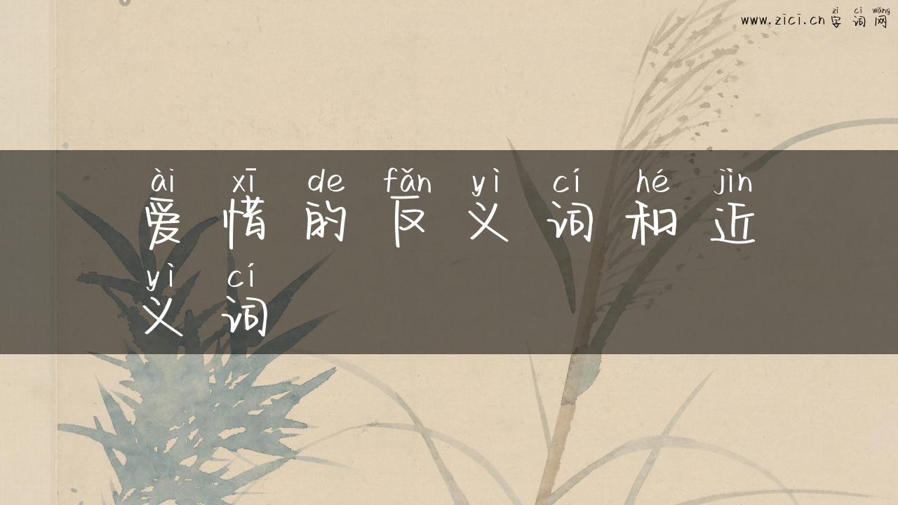 爱惜的反义词和近义词