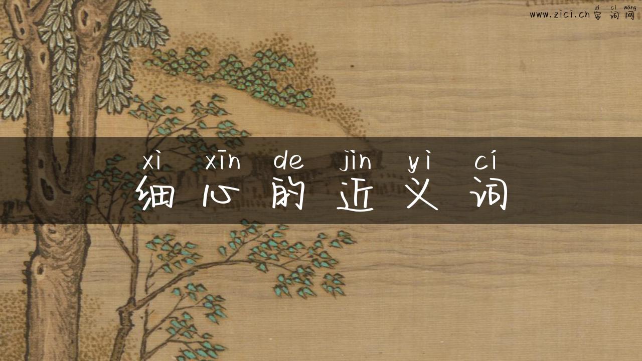 细心的近义词
