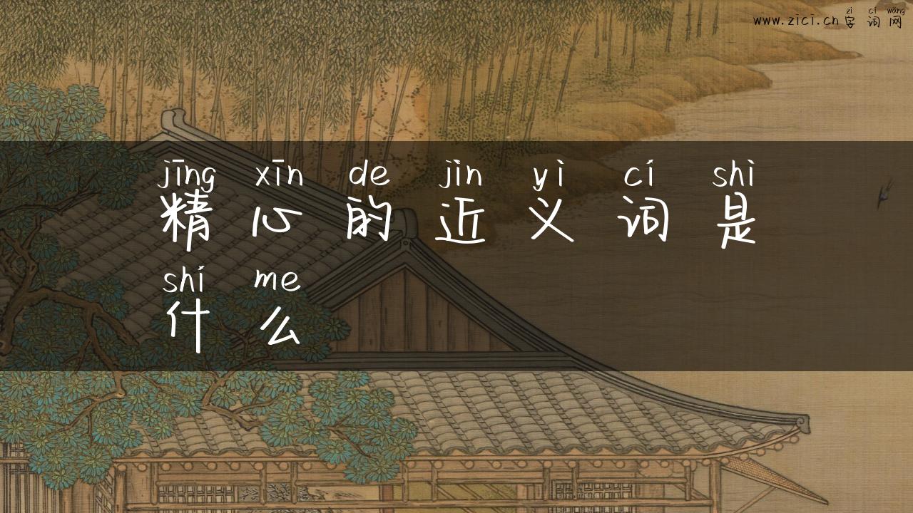精心的近义词是什么