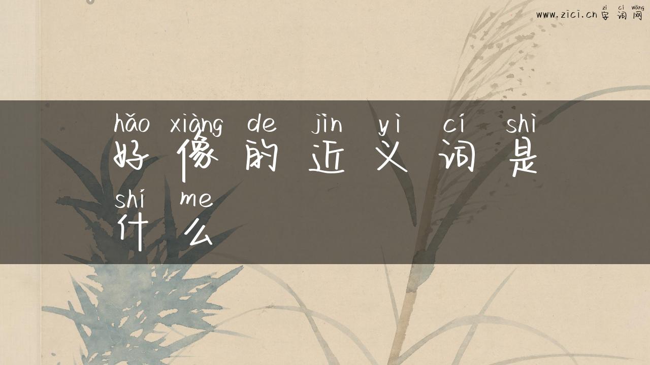 好像的近义词是什么