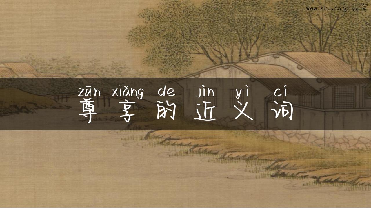 尊享的近义词