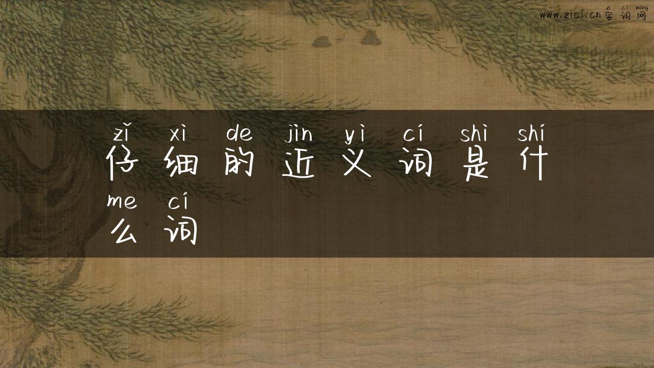 仔细的近义词是什么词
