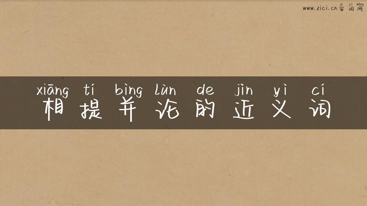 相提并论的近义词