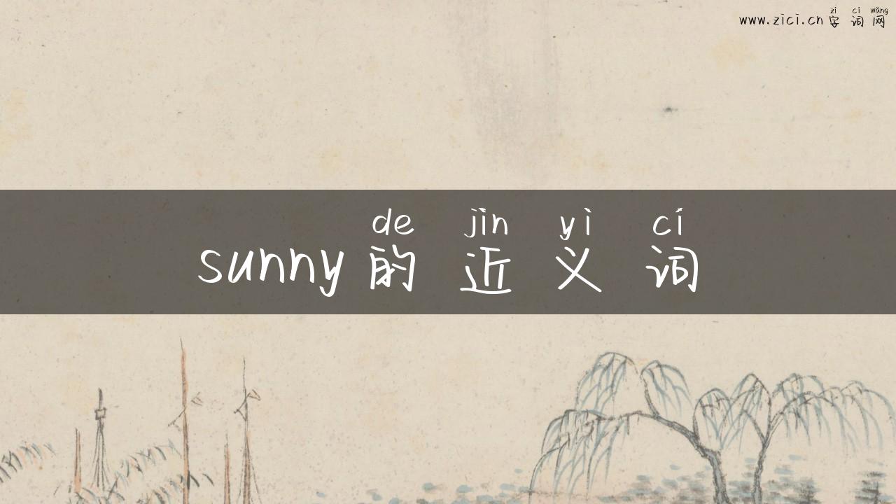 sunny的近义词