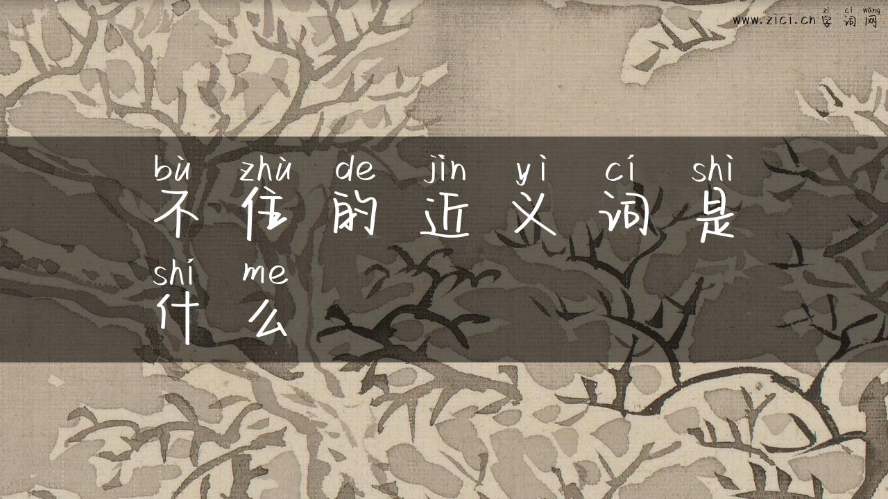不住的近义词是什么