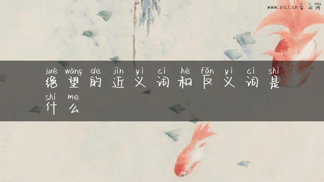 绝望的近义词和反义词是什么