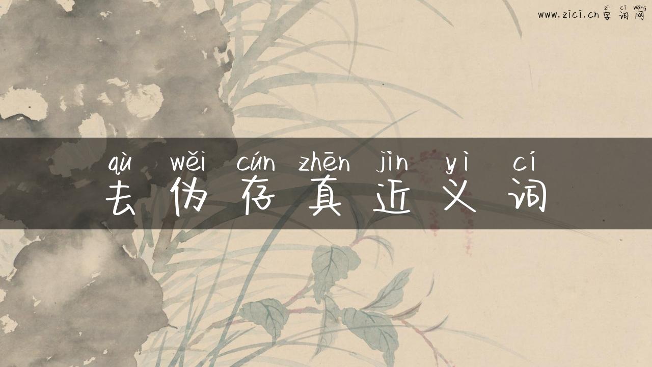 去伪存真近义词