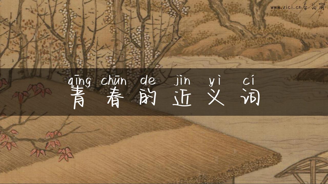 青春的近义词