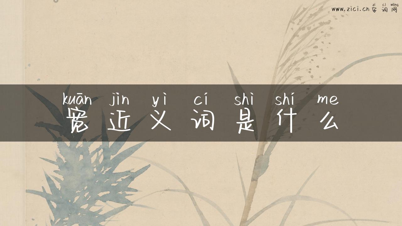 宽近义词是什么