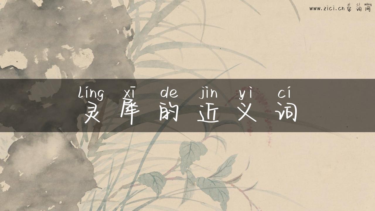 灵犀的近义词