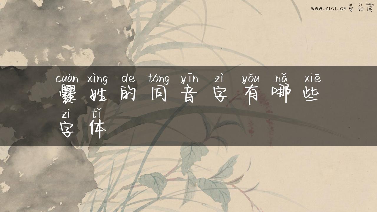 爨姓的同音字有哪些字体