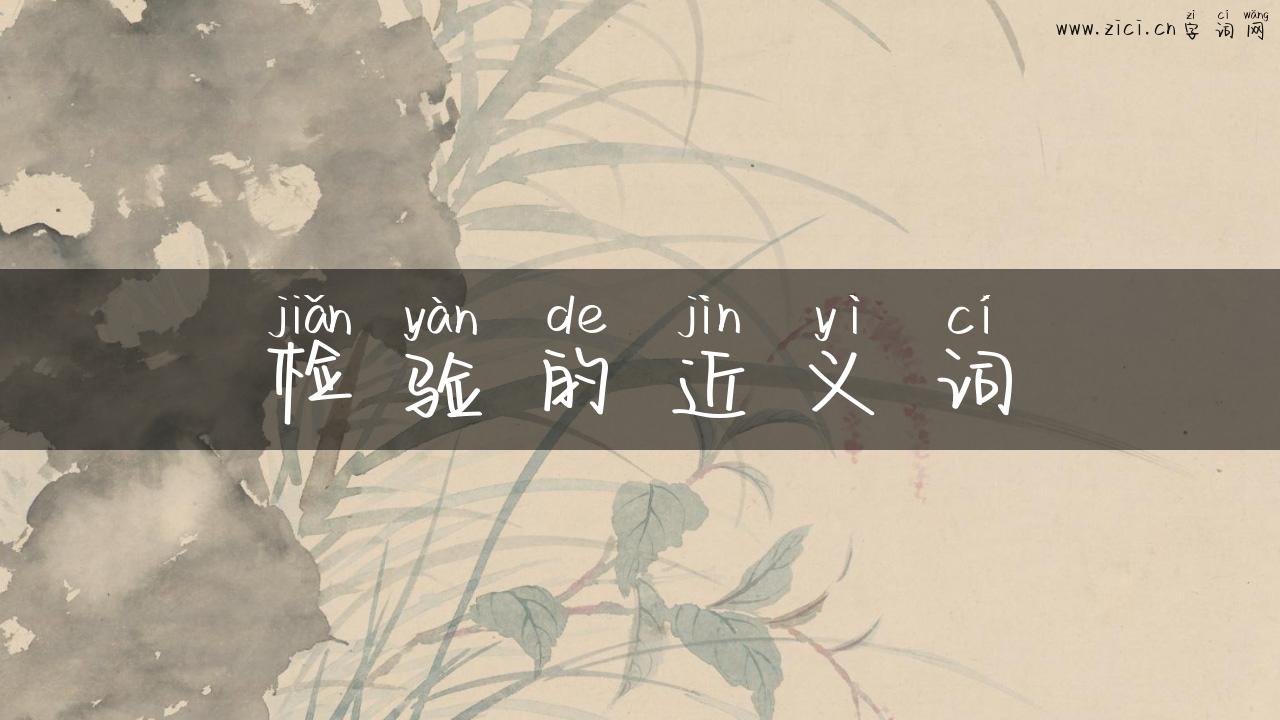 检验的近义词