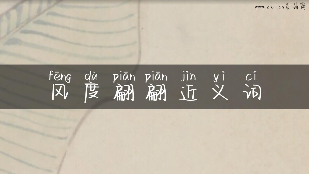 风度翩翩近义词