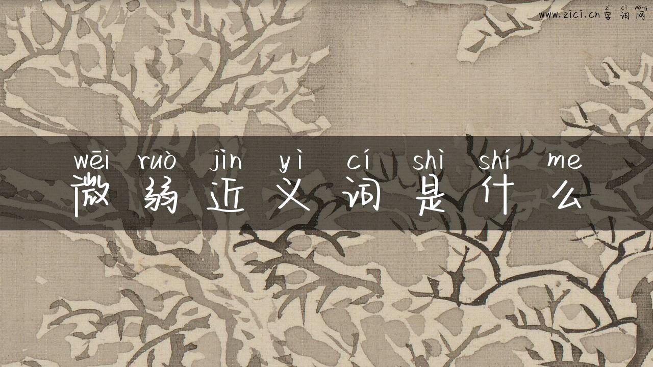 微弱近义词是什么