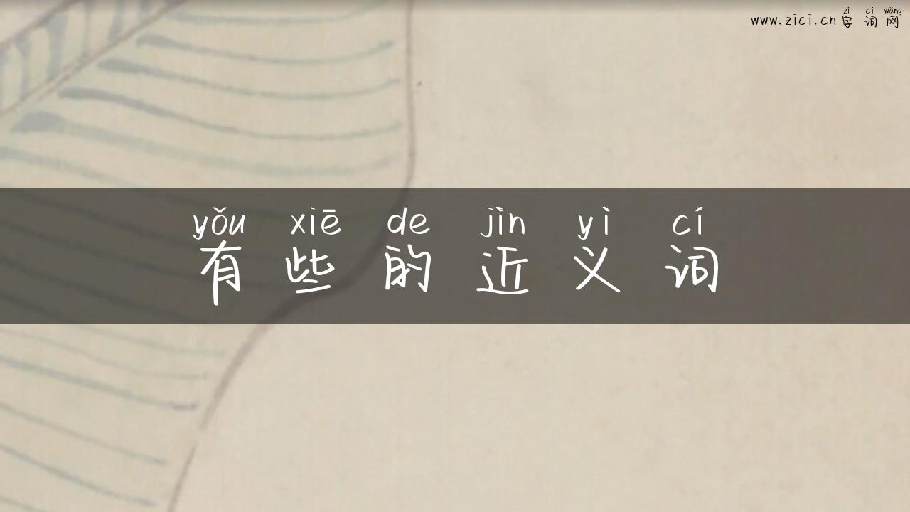 有些的近义词