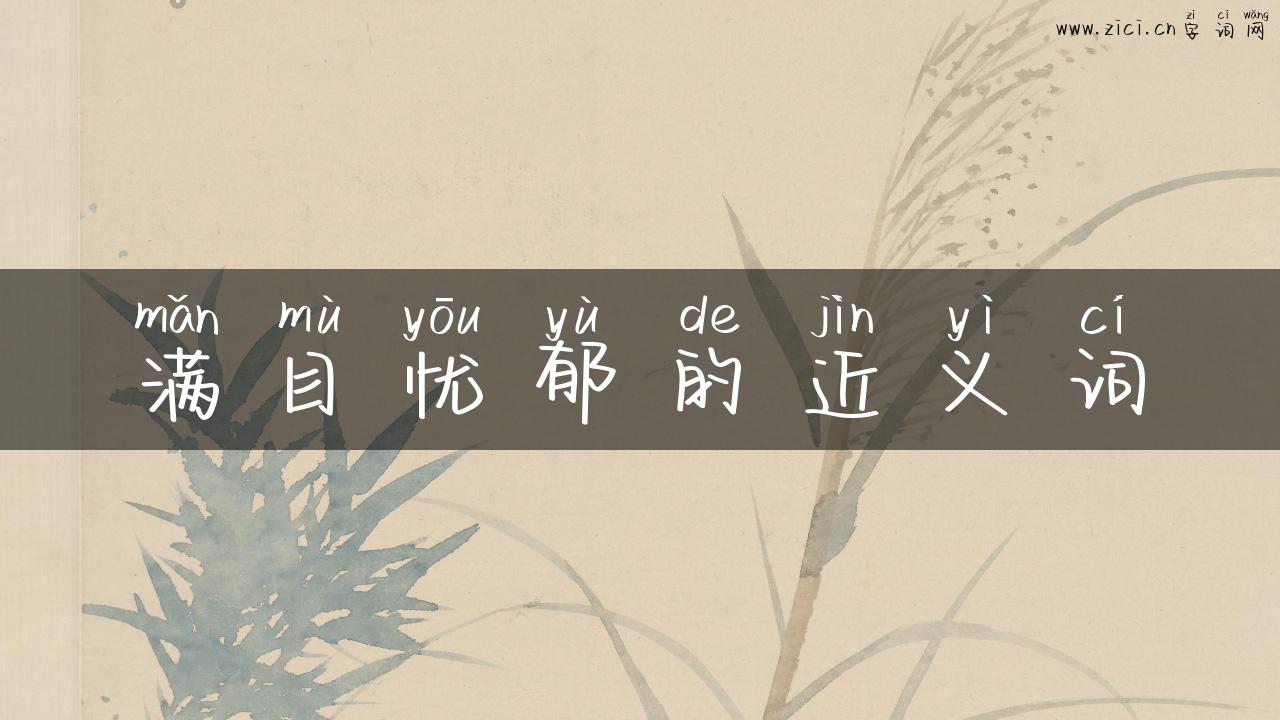 满目忧郁的近义词