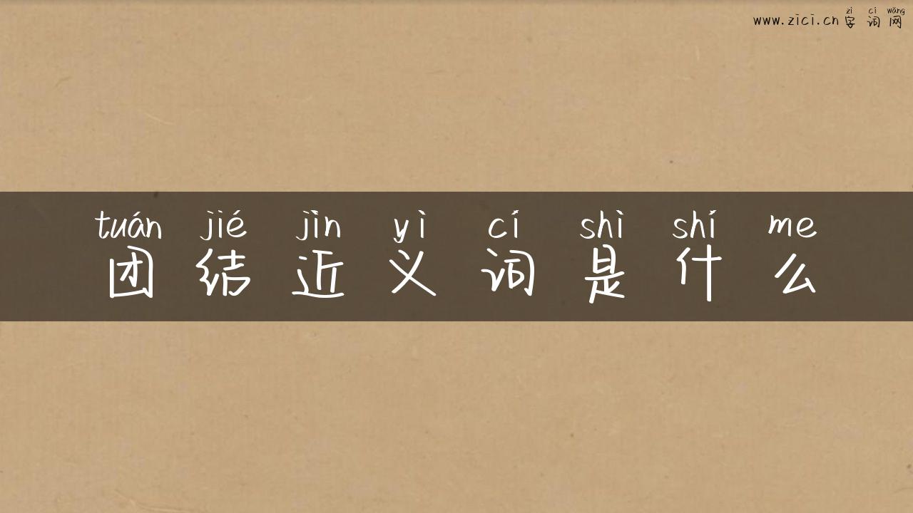 团结近义词是什么