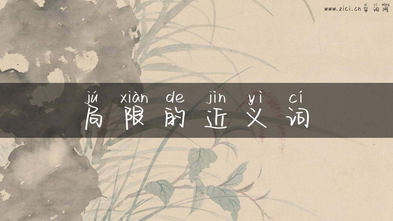 局限的近义词