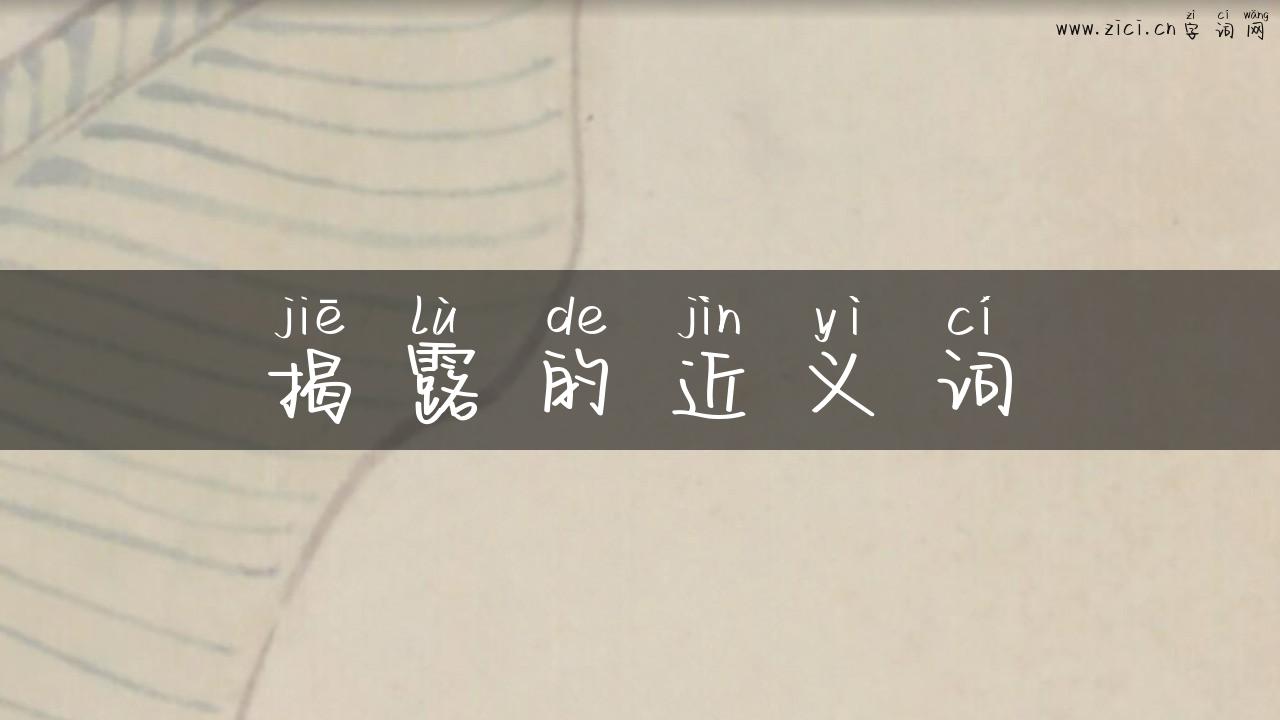 揭露的近义词