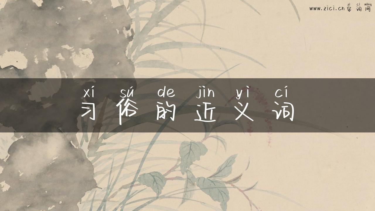 习俗的近义词