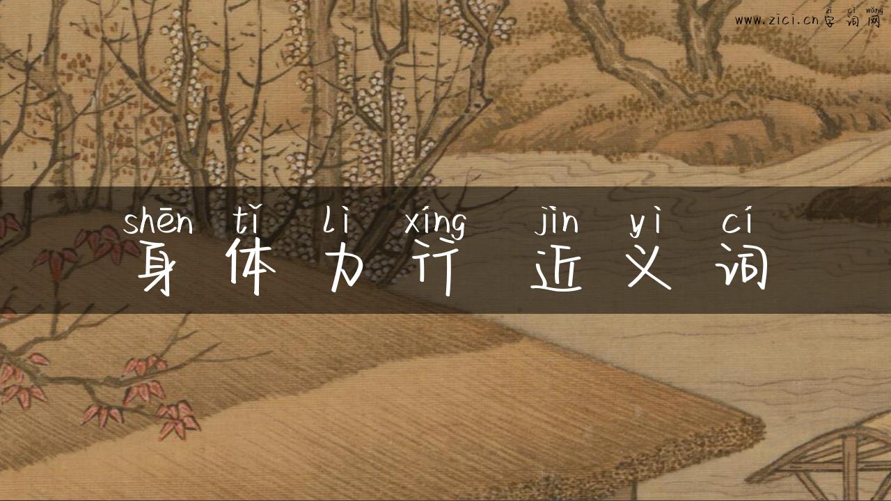 身体力行 近义词