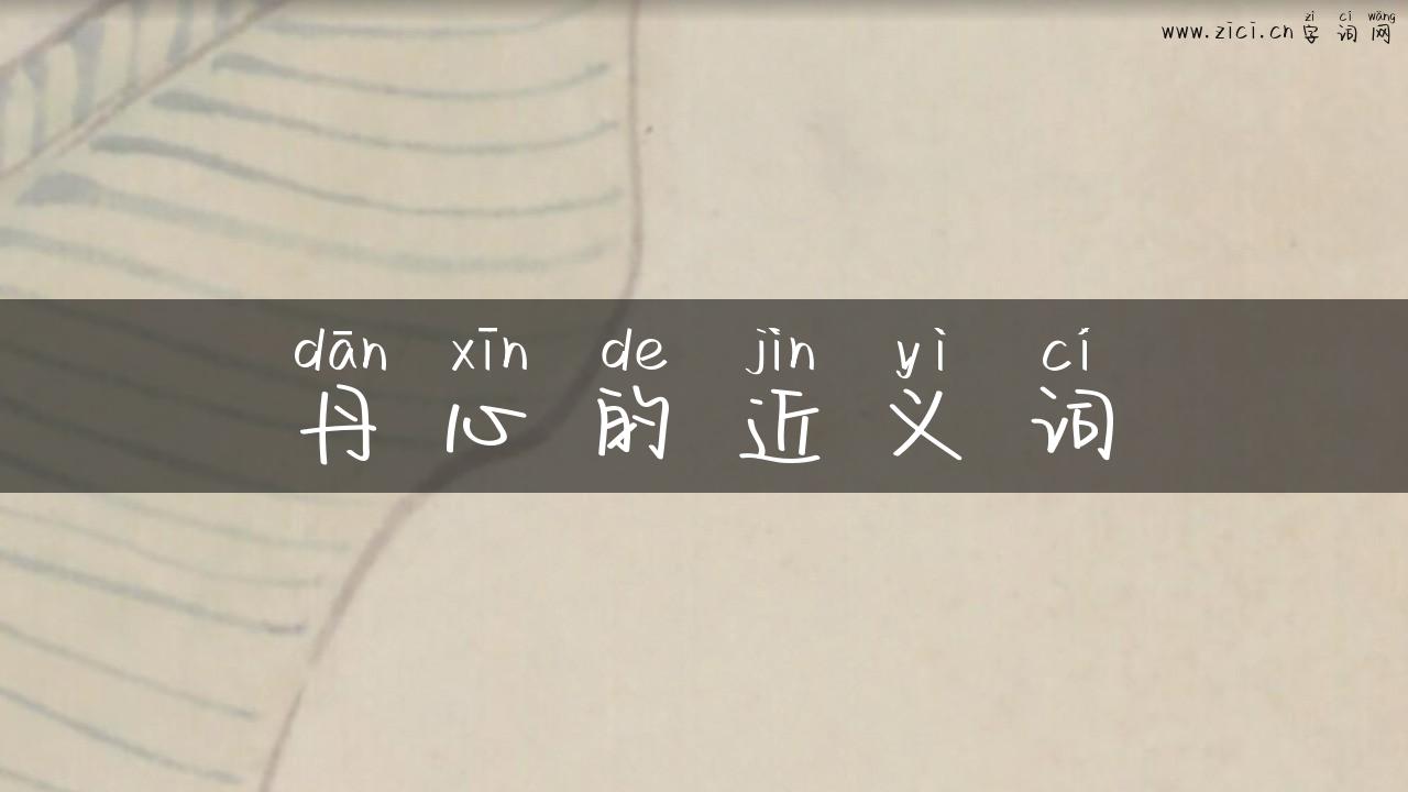 丹心的近义词