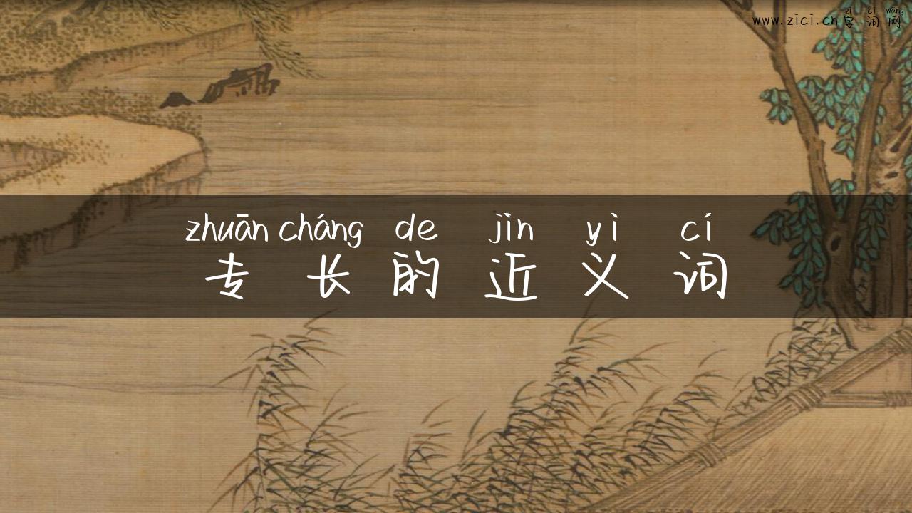 专长的近义词