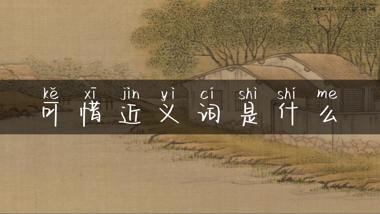 可惜近义词是什么