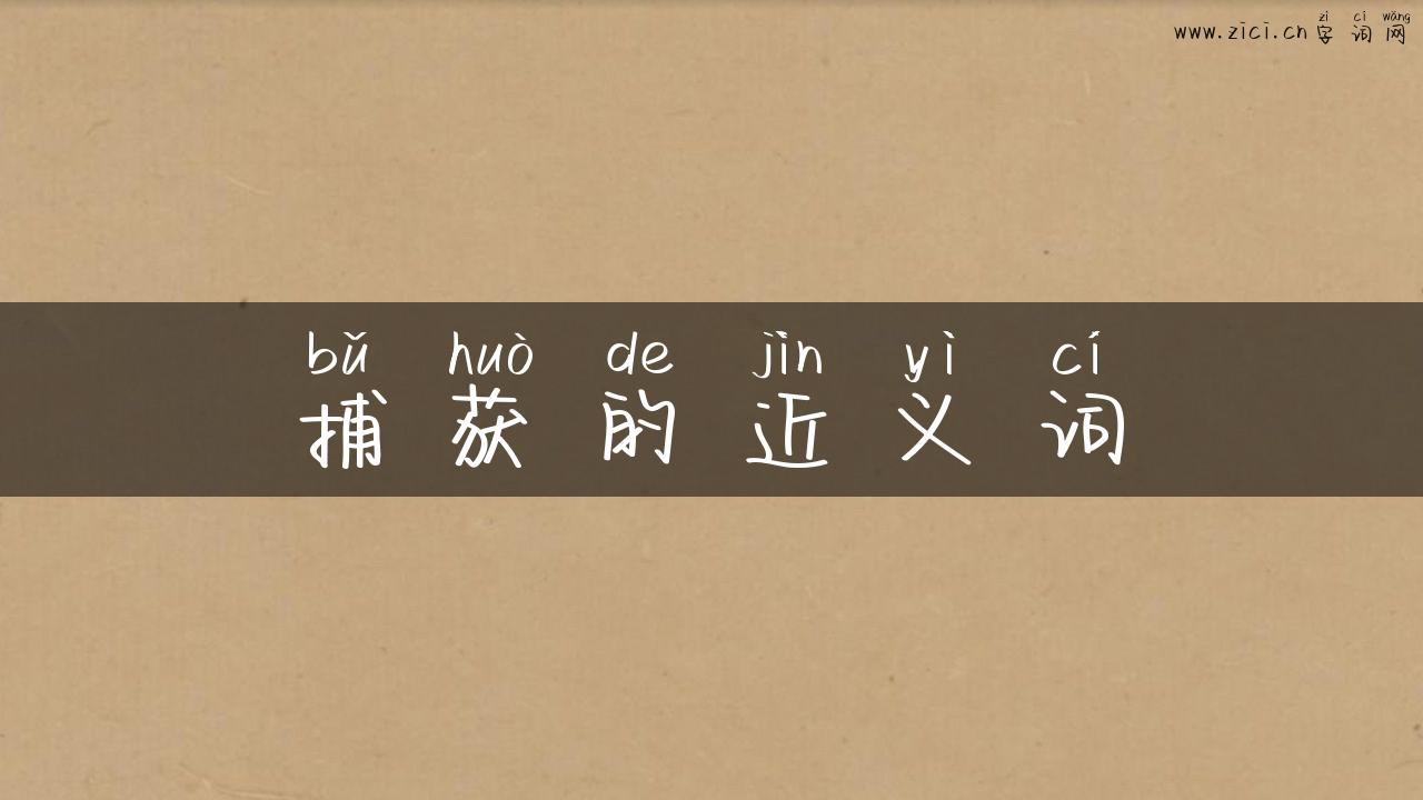 捕获的近义词