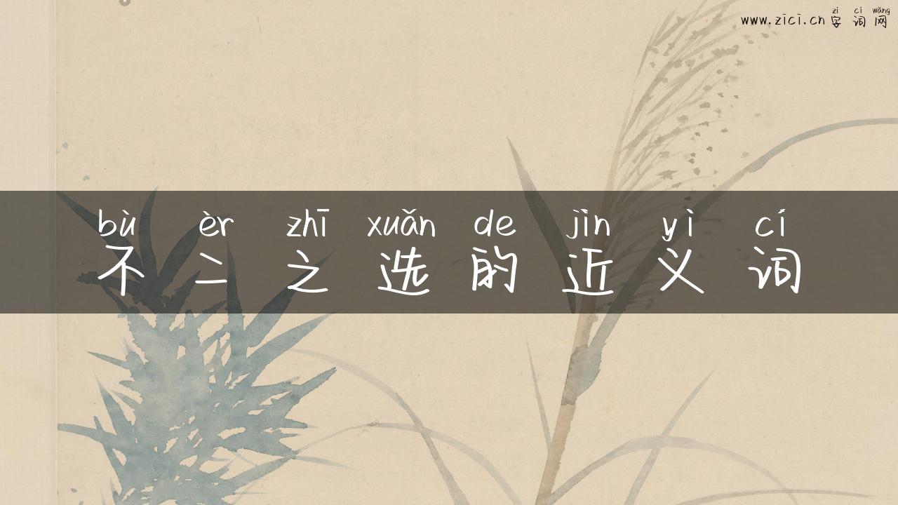 不二之选的近义词